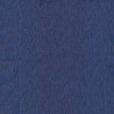 Bóxers Trunks Fruit of the Loom 78070, ÍNDIGO, swatch